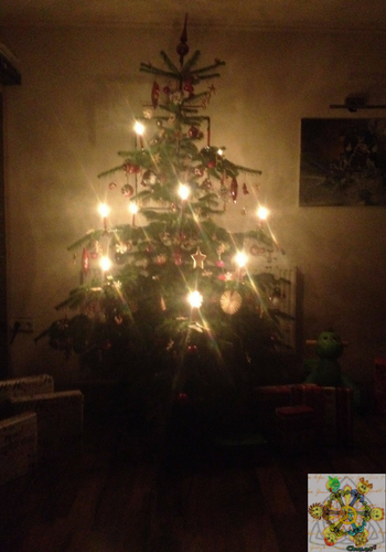 weihnachten feiern weihnachtsbaum