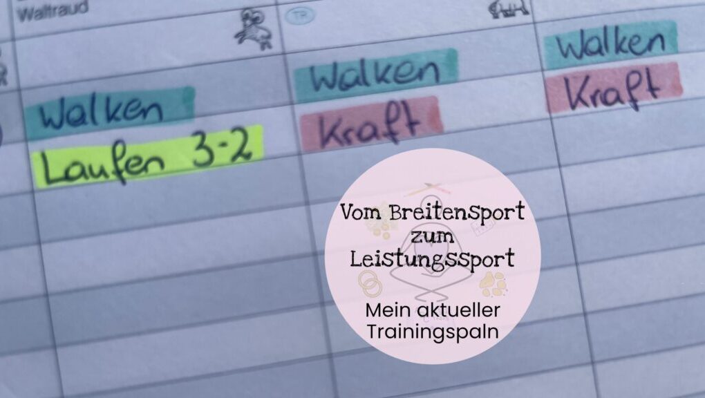 Trainingsplan