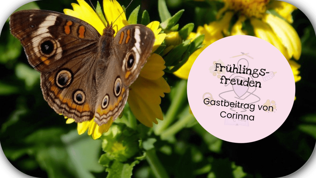 Frühlingsfreuden mit Kinder Titelbild mit Schmetterling