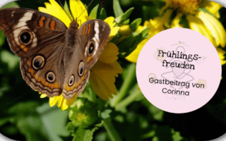 Frühlingsfreuden mit Kinder Titelbild mit Schmetterling