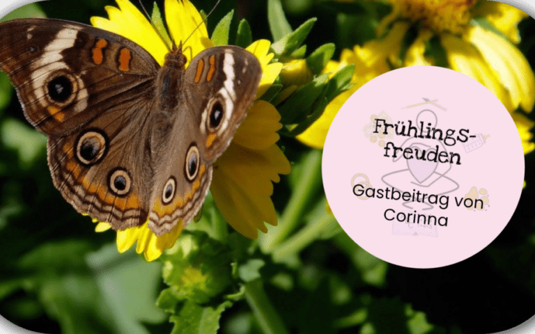 Frühlingsfreuden mit Kinder Titelbild mit Schmetterling