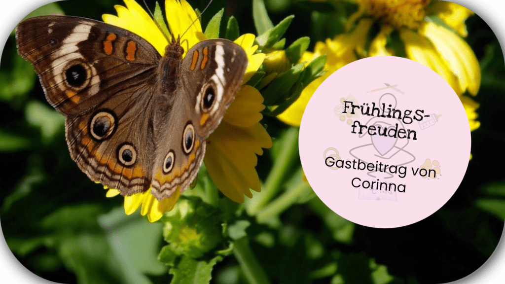 Frühlingsfreuden mit Kinder Titelbild mit Schmetterling