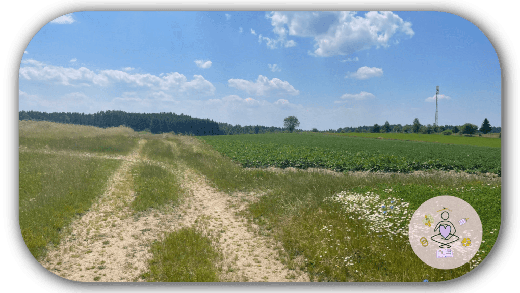 Den eigenen Weg gehen Welcher ist der richtige