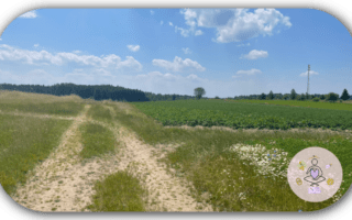 Den eigenen Weg gehen Welcher ist der richtige