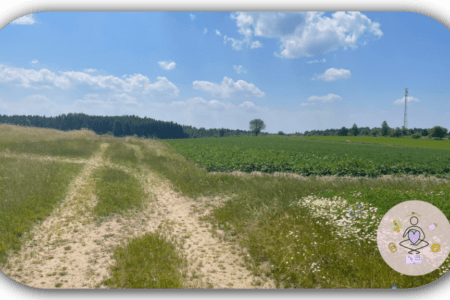 Den eigenen Weg gehen Welcher ist der richtige