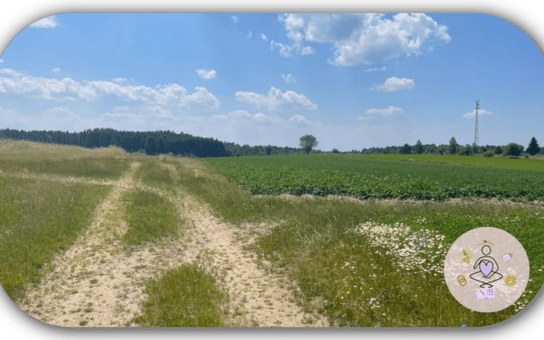 Den eigenen Weg gehen Welcher ist der richtige