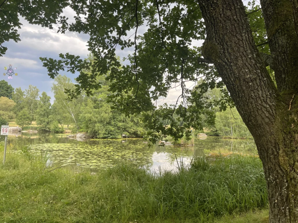 Naturpark Blockheide Teich