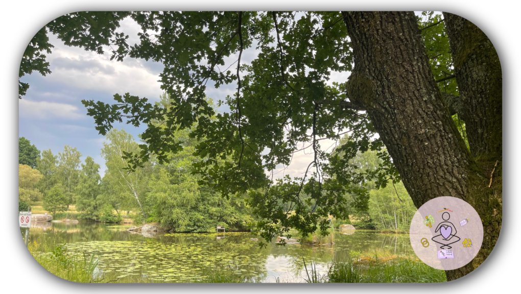 Eingang Naturpark Blockheide