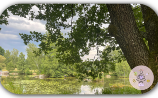 Eingang Naturpark Blockheide