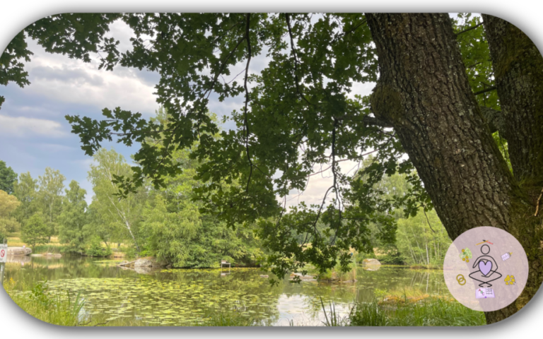 Eingang Naturpark Blockheide