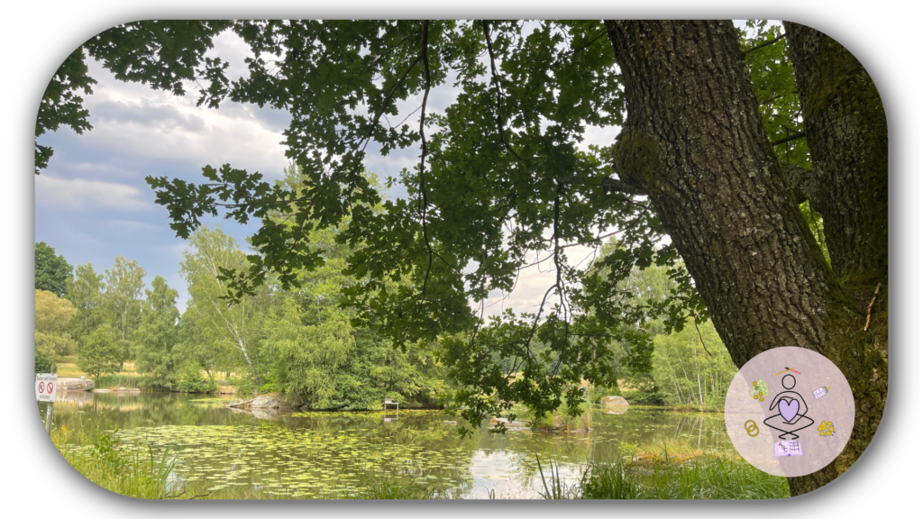 Eingang Naturpark Blockheide