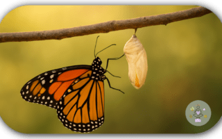 Mein Blog im Wandel der Zeit