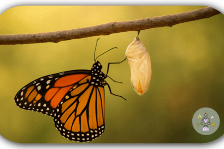 Mein Blog im Wandel der Zeit