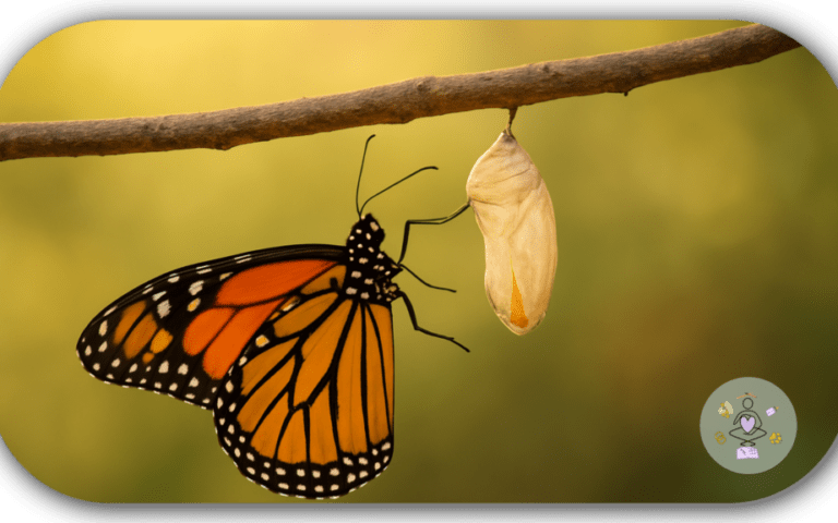 Mein Blog im Wandel der Zeit