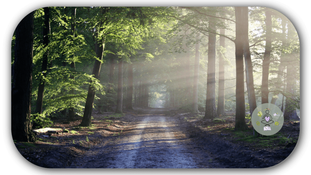 Komfortzone erweitern Titelbild zum Artikel