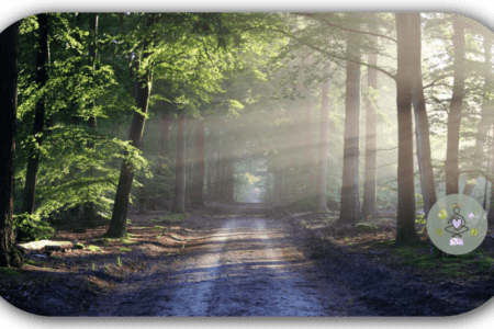 Komfortzone erweitern Titelbild zum Artikel