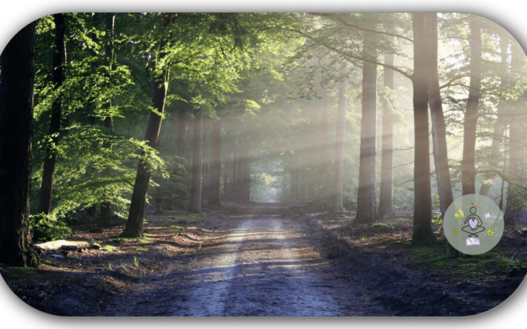 Komfortzone erweitern Titelbild zum Artikel